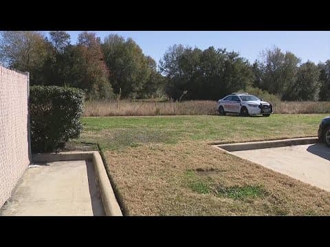 Sheriff: Details limited after human skull found in woods near Katy Freeway