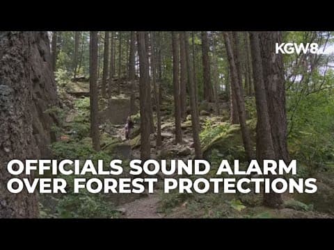 Skamania County worries timber revenue will drop after new forest protections announced