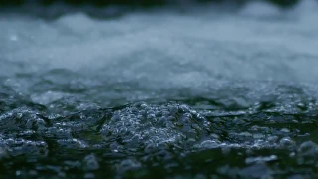 Image: 