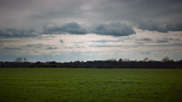 Image: 