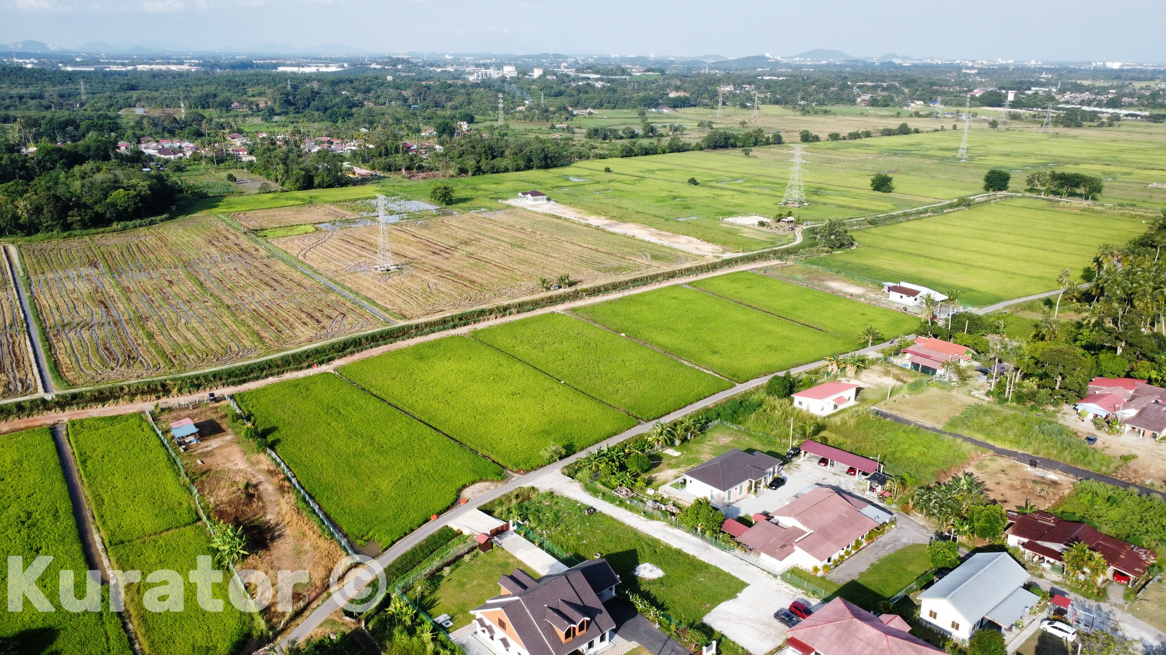 Paddy Field in Malaysia Village